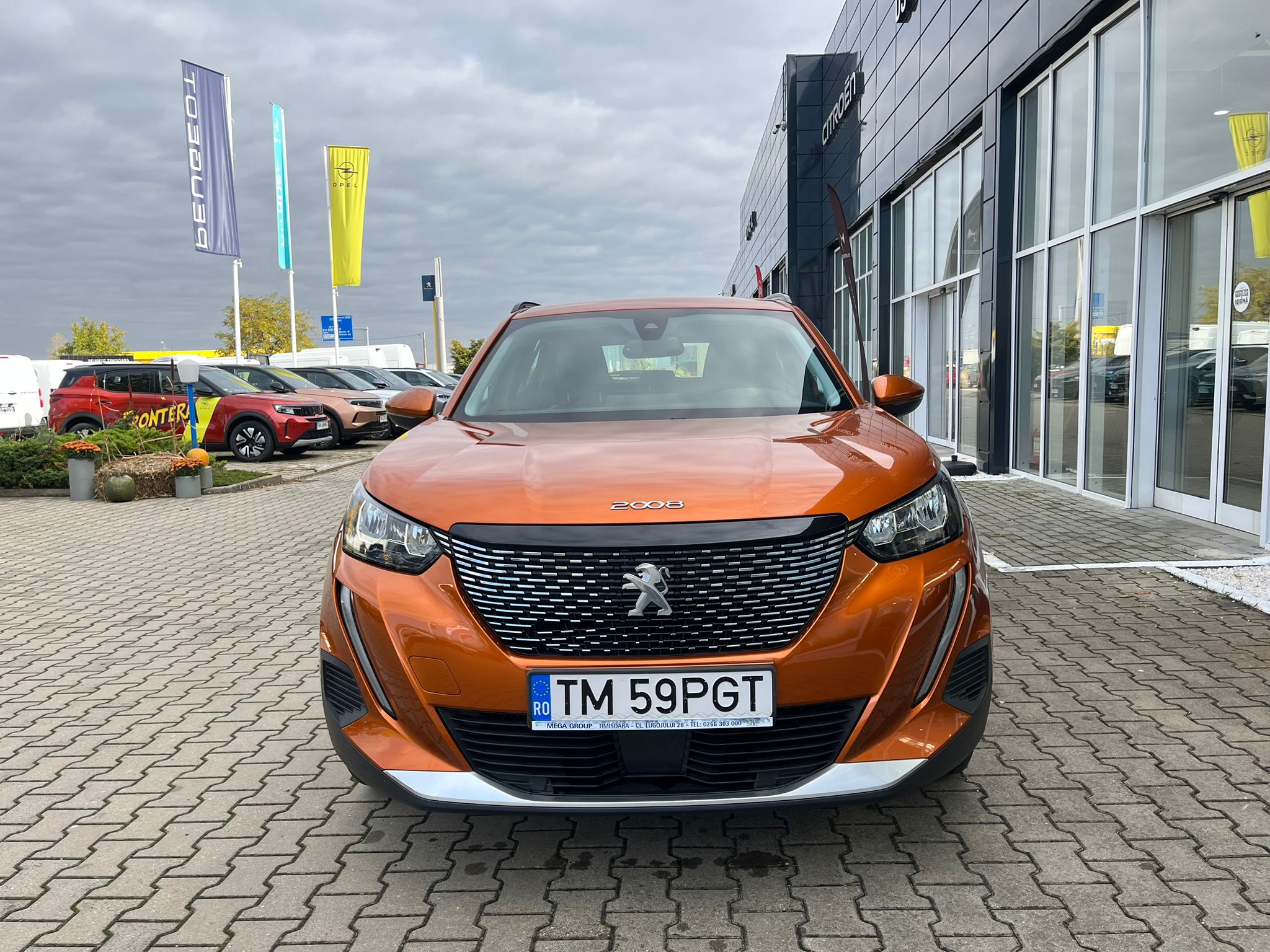 16e3ab7e-1f6c-4cf4-be7c-bd0cd39c420f