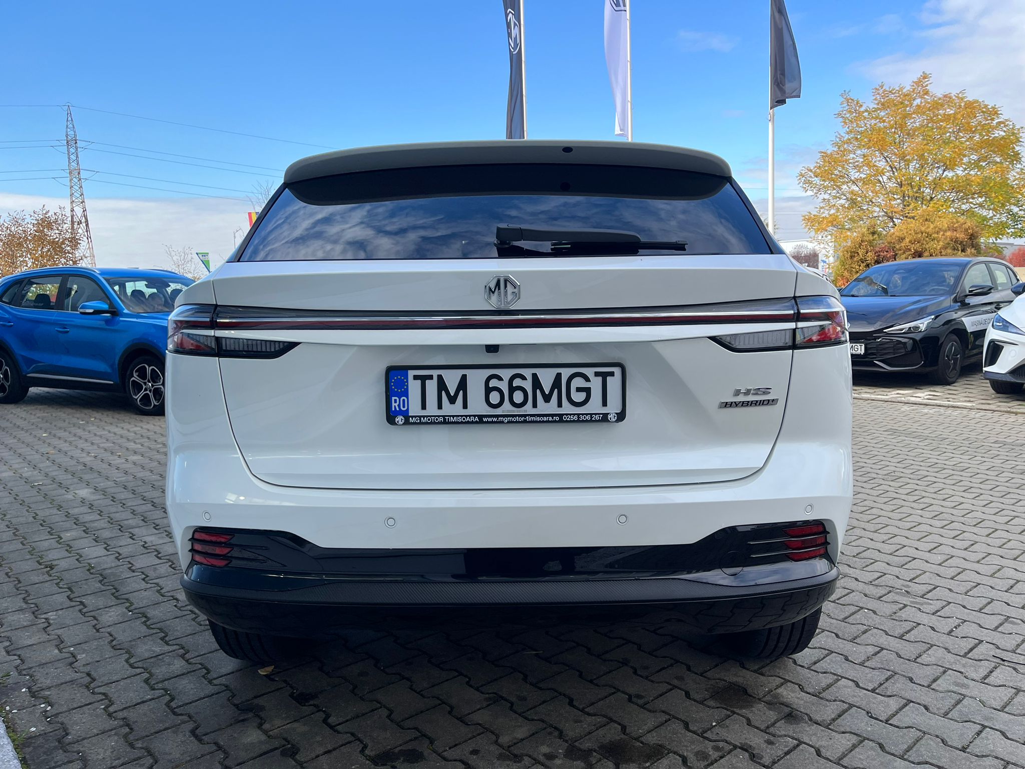 68cfbdbf-aaa0-4d95-87f1-c2670ee84cf3