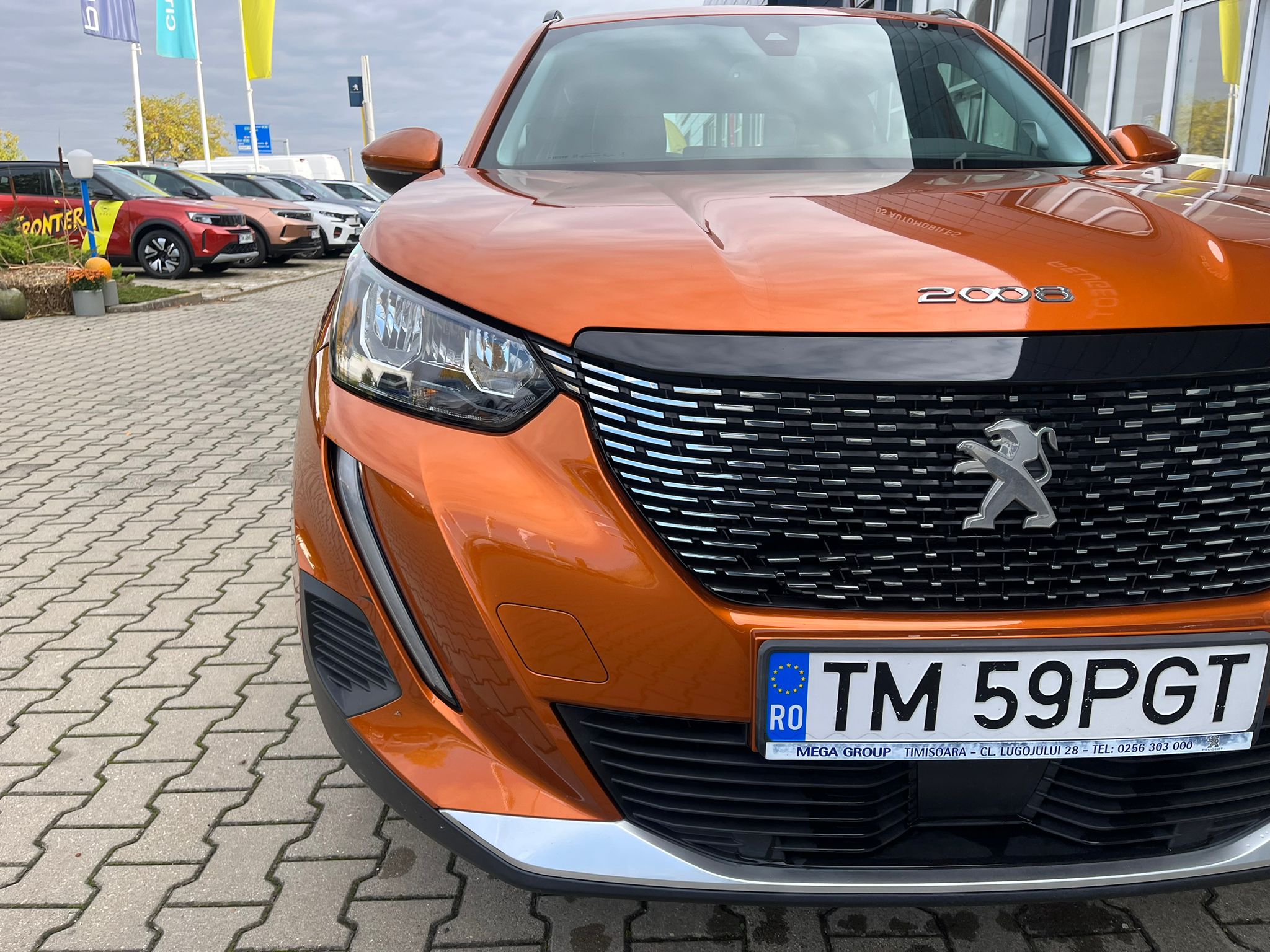 a09a2e35-2f29-4b31-b162-62de57688569